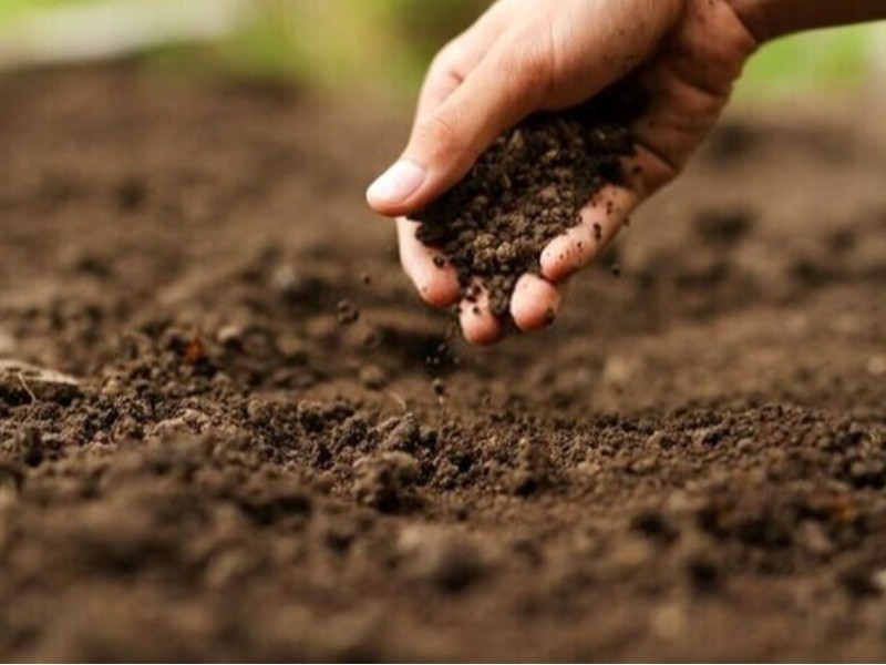 صیانت از اراضی، وظیفه ملی همه ذی‌نفعان است