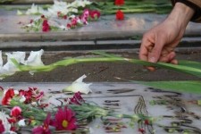 برگزاری مراسم مهمانی لاله‌ها در گلزار شهدای ایلام