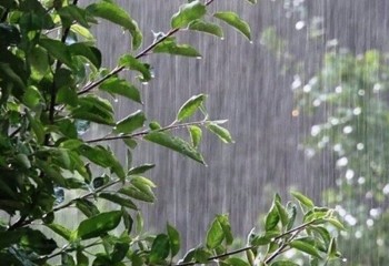 شهرستان آبدانان رکورددار بارش‌های اخیر