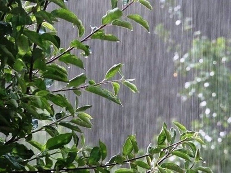 شهرستان آبدانان رکورددار بارش‌های اخیر