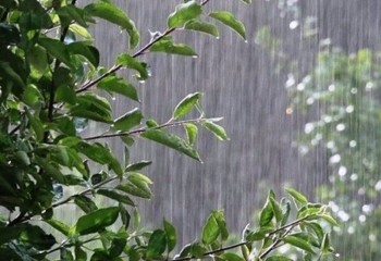 سامانه بارشی ایلام از عصر تقویت می‌شود