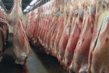 مردم گوشت را از مراکز مجاز تهیه کنند