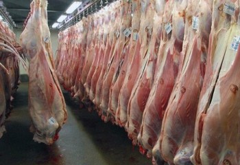مردم گوشت را از مراکز مجاز تهیه کنند