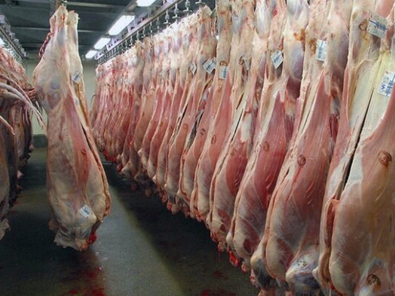 مردم گوشت را از مراکز مجاز تهیه کنند