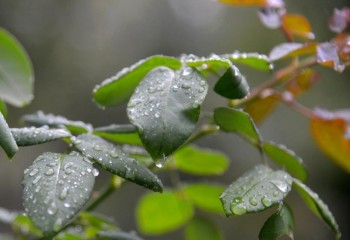 ورود سامانه بارشی ناپایدار به ایلام