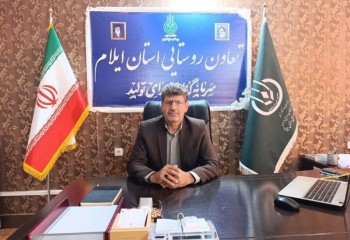 عرضه خرمای کبکاب تنظیم بازاری در ایلام