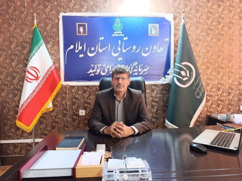 عرضه خرمای کبکاب تنظیم بازاری در ایلام