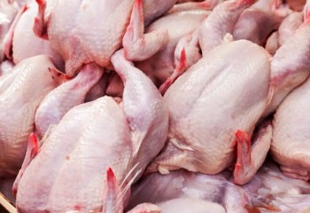 ۵۰ کیلو گوشت مرغ فاسد ضبط شد