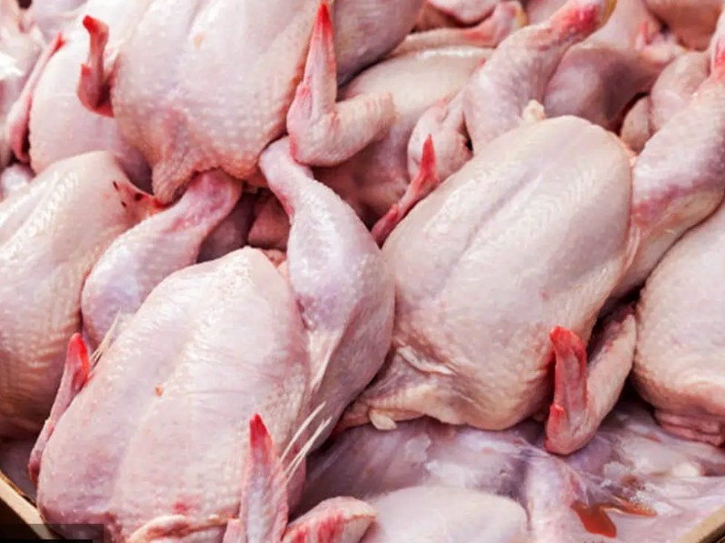 ۵۰ کیلو گوشت مرغ فاسد ضبط شد