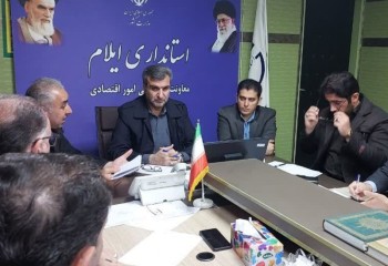 مشکلی در ساماندهی بازار مرغ ایلام نداریم