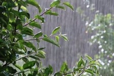 تداوم بارش شدید باران در دره‌شهر