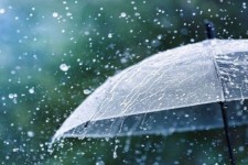 ثبت ۱۰۰ میلیمتر بارش در زیفل و موموری