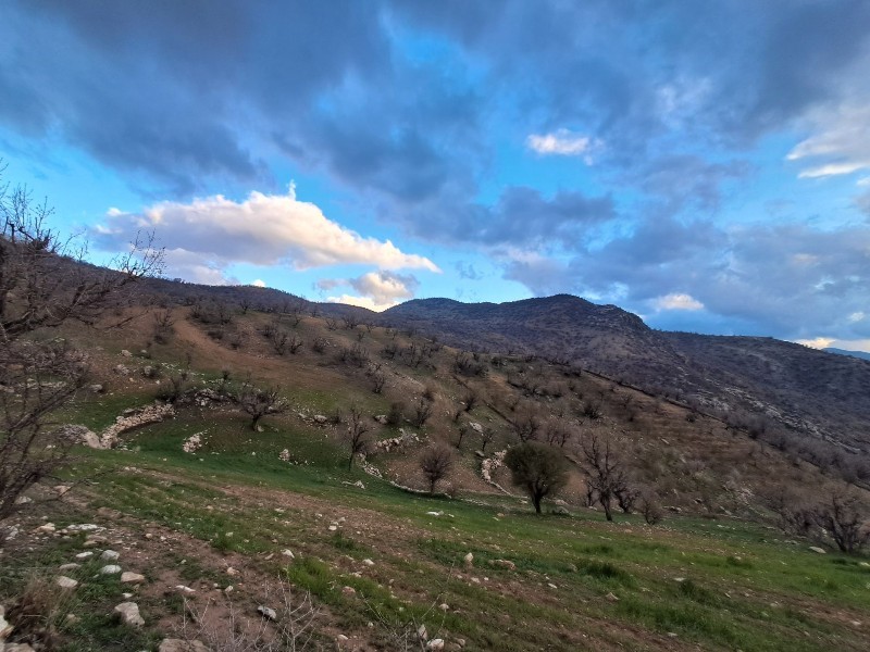 خروج سامانه بارشی ایلام از فردا