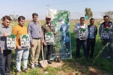 ۲۰۰ اصله نهال در شهرستان دهلران غرس شد