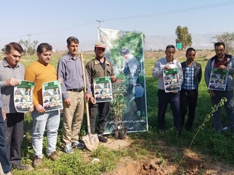 ۲۰۰ اصله نهال در شهرستان دهلران غرس شد
