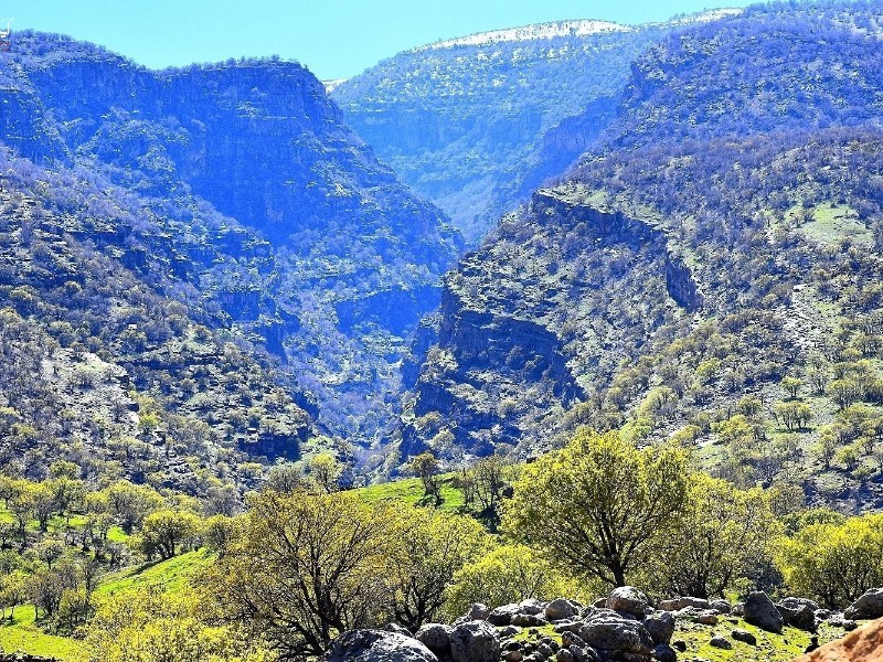 طبیعت زیبای روستای گوراب شهرستان سیروان