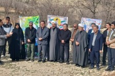 برگزاری پویش نهال‌کاری «ایستاده چون سرو» در ایلام