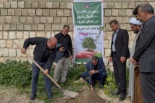 آغاز کاشت ۵۰۰۰ نهال بارور برای یاری نیازمندان ایلامی