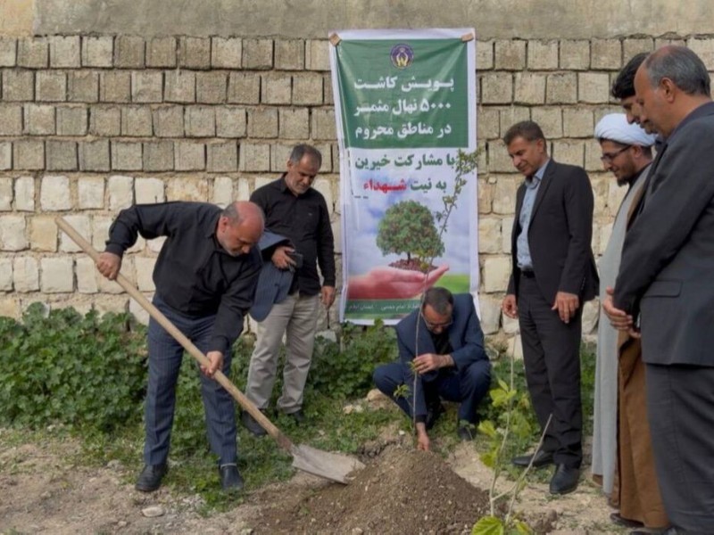 آغاز کاشت ۵۰۰۰ نهال بارور برای یاری نیازمندان ایلامی
