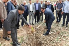 برگزاری مراسم «پویش سبز» در ایلام