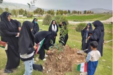 کاشت نهال در پارک جنگلی خرم چرداول