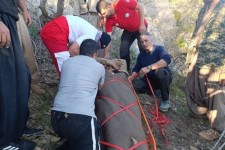 نجات مصدوم ۳۴ ساله در ارتفاعات کبیرکوه ملکشاهی