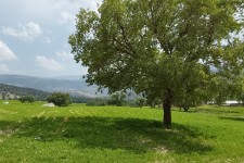 روستای کلک نقی؛ جایی میان کوه، آب و آرامش