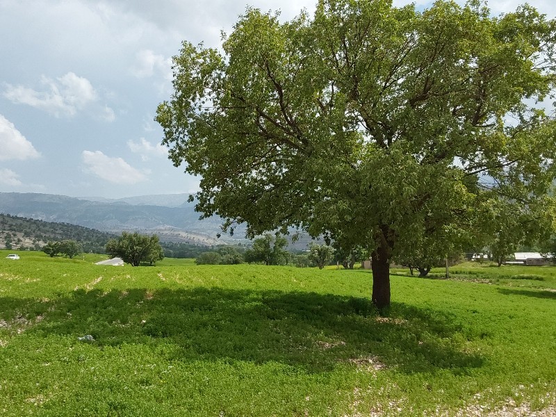 روستای کلک نقی؛ جایی میان کوه، آب و آرامش