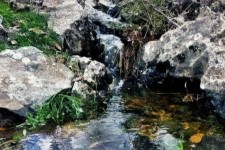 طبیعت زیبای بهاری شهرستان سیروان