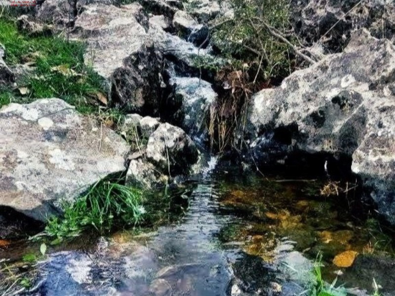طبیعت زیبای بهاری شهرستان سیروان