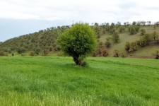 جلوه‌ای از هنر خدا در طبیعت پشته ملکشاهی