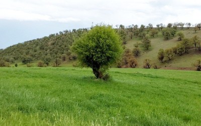 جلوه‌ای از هنر خدا در طبیعت پشته ملکشاهی
