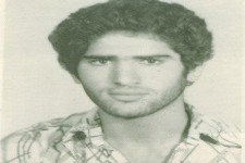 دلیل نام‌گذاری «شیرِ پیل‌افکن» چیست؟