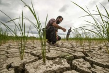 تخریب پوشش گیاهی عامل تشدید بحران آب است