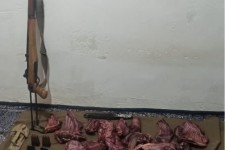 شکارچی مسلح در منطقه حفاظت‌شده ایلام دستگیر شد