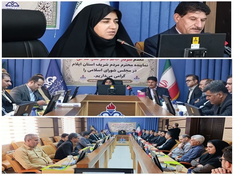 مطالبات نفتی ایلام با جدیت دنبال می‌شود
