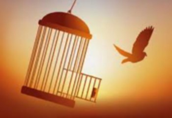 آزادی ۱۳ زندانی با مشارکت کارکنان آبفای ایلام