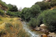طبیعت چشم‌نواز روستای کلم در ایلام