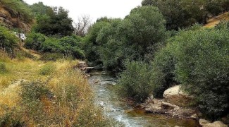 طبیعت چشم‌نواز روستای کلم در ایلام