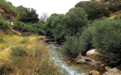 طبیعت چشم‌نواز روستای کلم در ایلام
