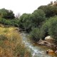 طبیعت چشم‌نواز روستای کلم در ایلام