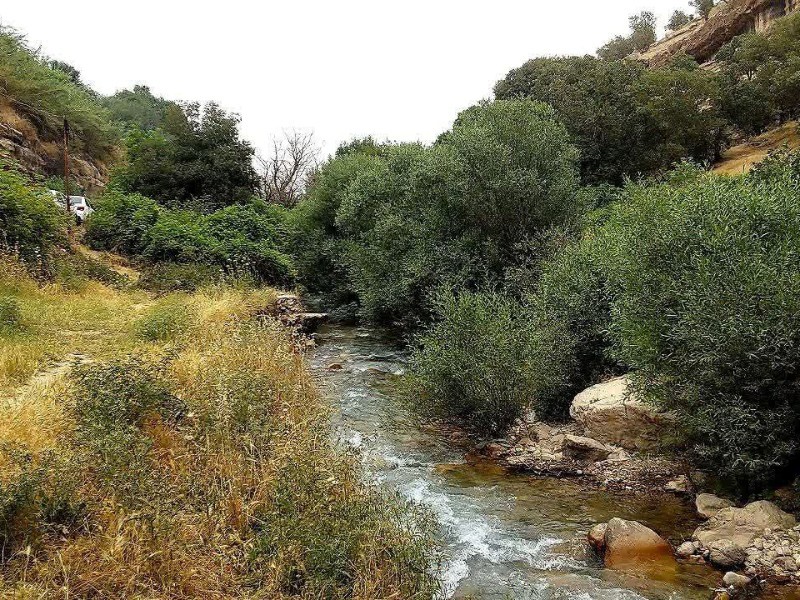 طبیعت چشم‌نواز روستای کلم در ایلام