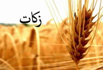 هدف‌گذاری ۳۰ میلیاردتومانی زکات در ایلام