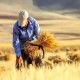 واریز ۳۱ هزار میلیارد ریال به حساب گندم‌کاران ایلامی