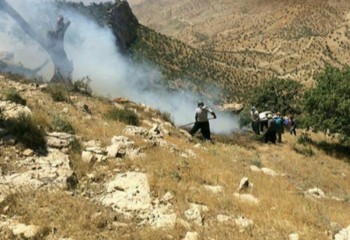 آتش‌سوزی ارتفاعات «گوزنه» ایوان مهار شد