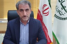 ۳۰۰ هکتار گلخانه جدید در ایلام احداث می‌شود