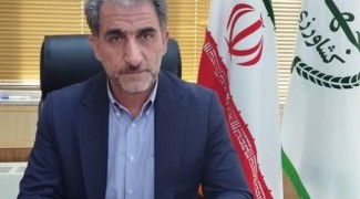 ۳۰۰ هکتار گلخانه جدید در ایلام احداث می‌شود