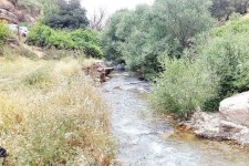 روستای کلم؛ جایی برای نفس‌کشیدن در طبیعت