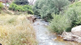 روستای کلم؛ جایی برای نفس‌کشیدن در طبیعت