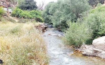 روستای کلم؛ جایی برای نفس‌کشیدن در طبیعت
